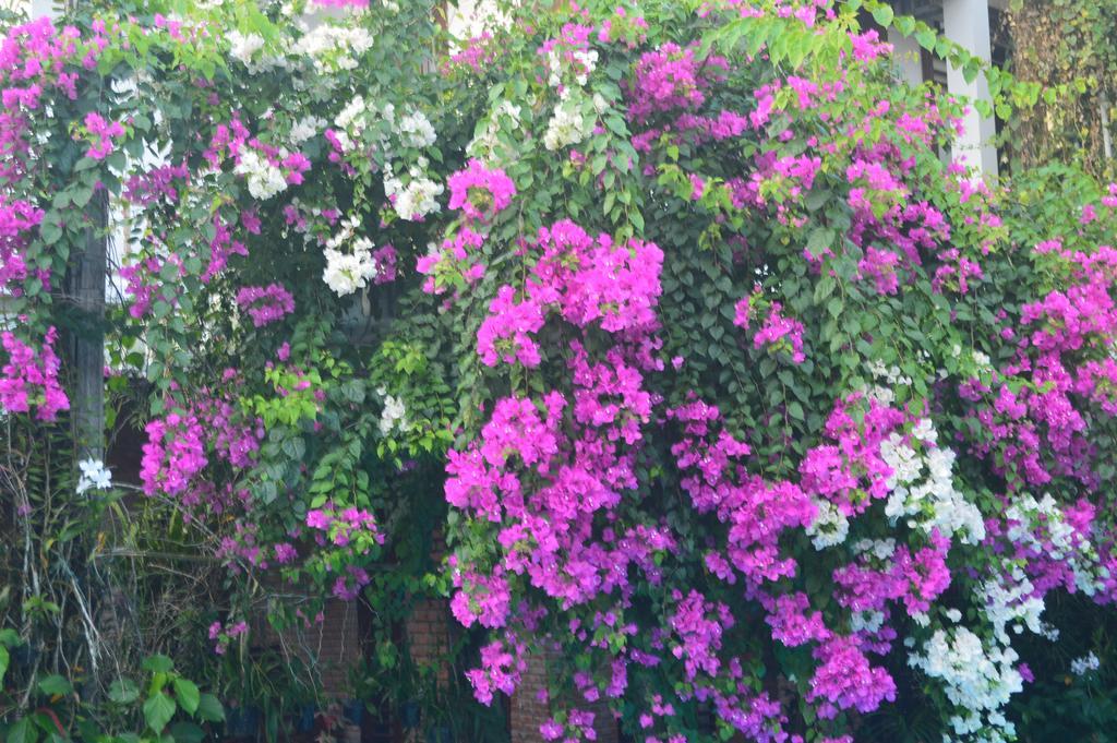The Hoi An Orchid Garden Villas Екстериор снимка